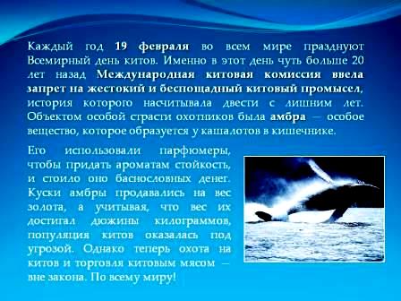 День защиты морских животных