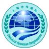 Итоги саммита ШОС-2015 в Уфе